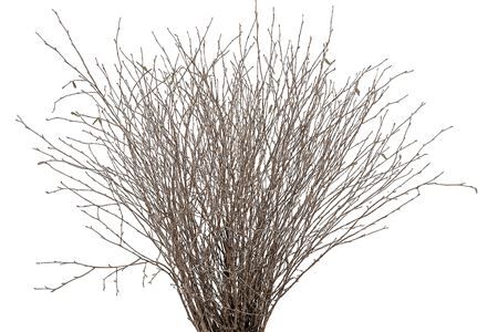 Berk 70cm Naturel Pbs