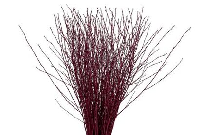 Berk 70cm Cerise Pbs