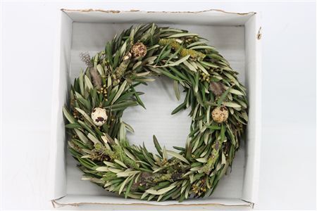 Wr Spring Mix Naturel 30cm