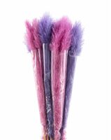 Dried Cortederia Lao Grass Springmix Pink