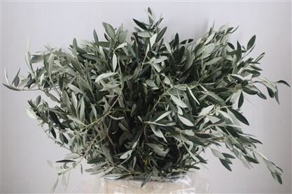 Olive 300gr P/b