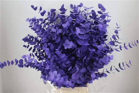 Euca Cinerea Milka 200gr