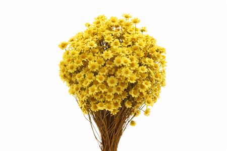 Dried Glixia Yellow Bunch