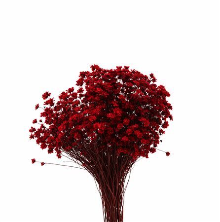 Dried Glixia Red Bunch
