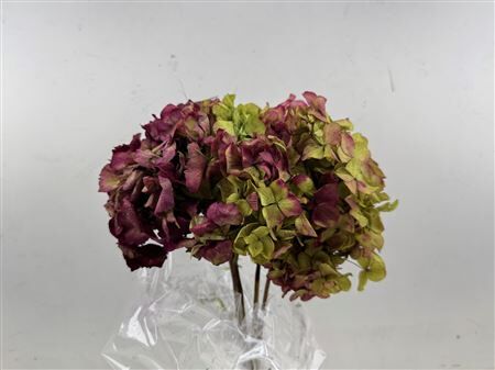 Pres Hydrangea Natural Lilac Bunch