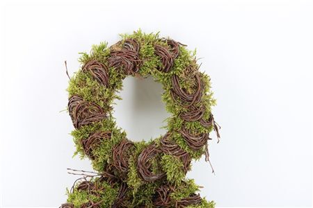 Wr Easter Mos Birch 30cm