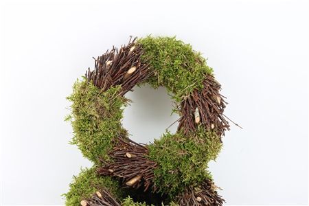 Wr Easter Mos Birch Extra 30cm