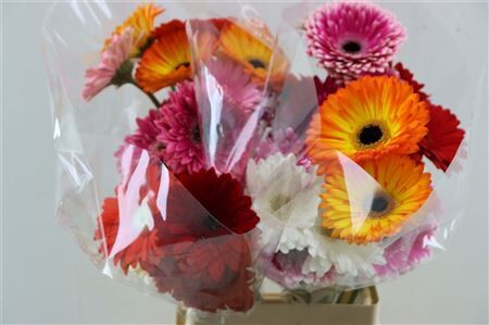 Ge Gr Mixed Plukboeket