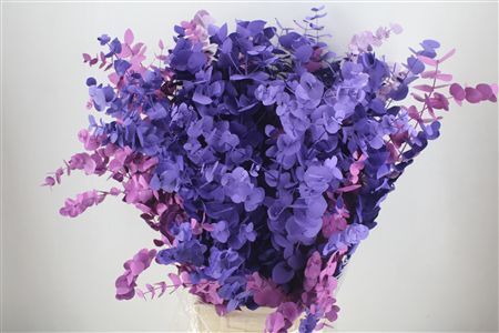 Euca Cinerea Mix Pink P Bunch