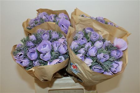 Anem Marianne Powder Lavender