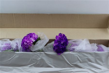 Hydr M Light Purple Tinted X12