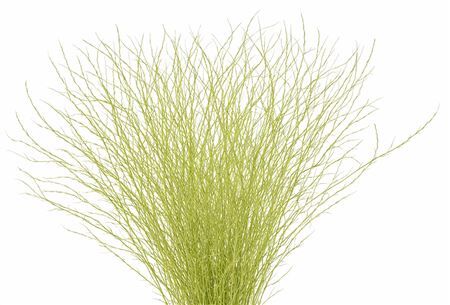 Berk 70cm Creme Pbs