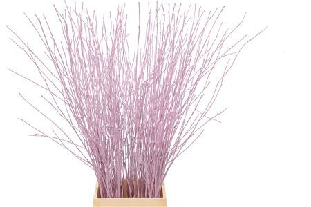 Berk 70cm Lichtroze Pbs