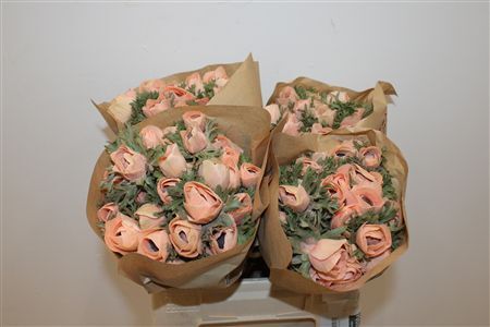 Anem Marianne Powder Orange