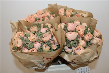 Anem Marianne Powder Orange