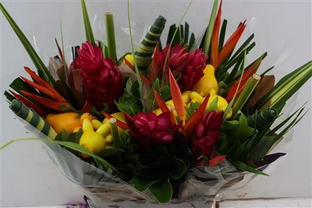 Helic Bqt Rond Med Aria (pig Face)