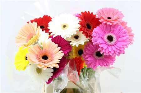 Ge Gr Mixed Plukboeket