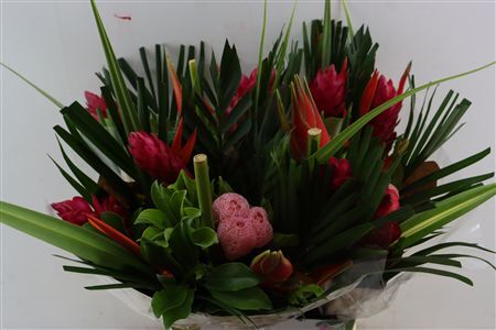 Helic Bqt Rond Med Lua Fuego Pink