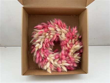 Wr Lagurus Pink White D30