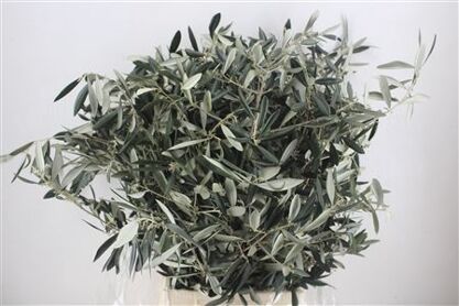 Olijf 300gr P Bunch