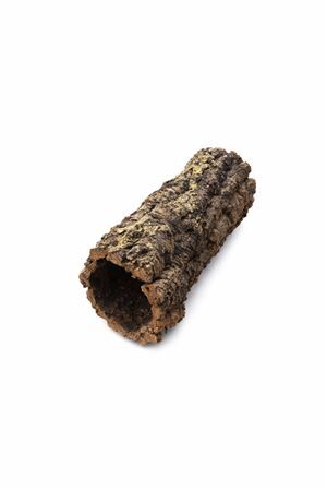 Pot Cork Tree