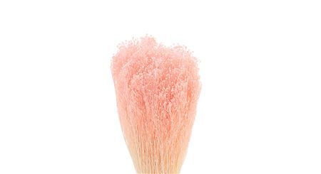 Dried Brooms Light Pink Bunch