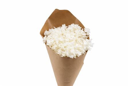 Pres Hydrangea Bleached Bunch