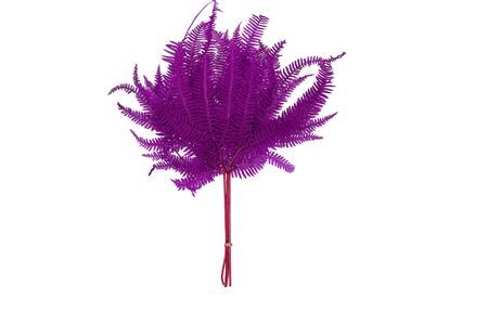 Pres Bracken Fern Cerise 10pcs Bunch