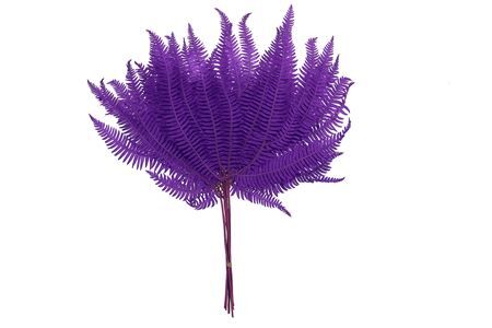 Pres Bracken Fern Lavender 10pcs Bunch