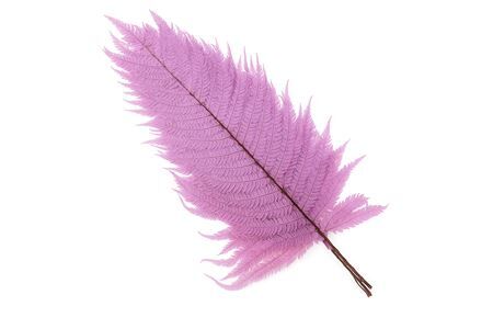 Pres Leather Fern Lavender 10pcs Bunch