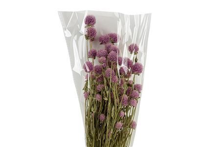 Dried Gomphrena Pink 100gr Bunch
