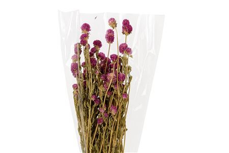 Dried Gomphrena Hot Pink 100gr Bunch