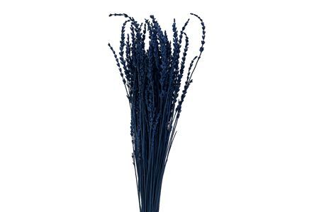 Pres Lavendel Dark Blue 100gr Bunch