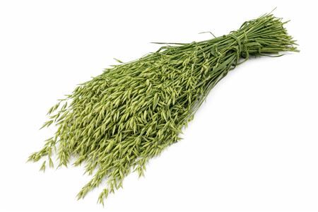 Dried Avena (haver) Natural Bunch