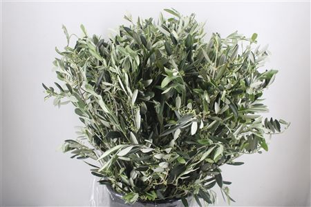 Olive 400gr P/b