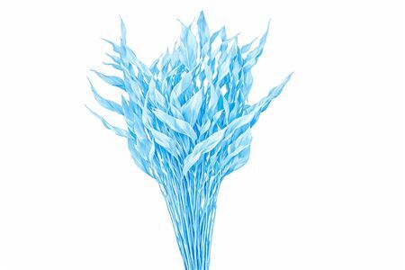 Dried Strelitziablad Lichtblauw P Stem