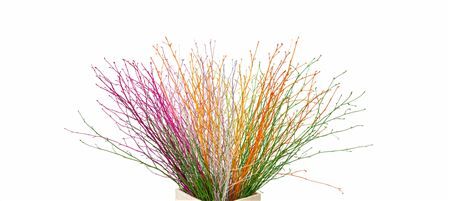 Berk 70cm Voorjaar Mix Bunch