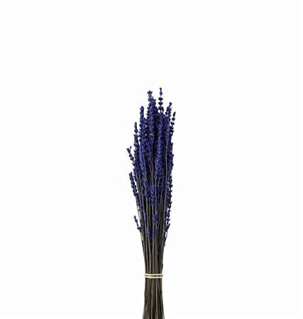 Pres Lavendel Dark Blue Super Bunch