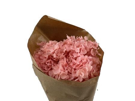 Pres Hydrangea Light Pink Bunch