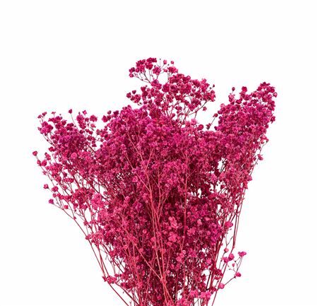 Pres Gyps Pink Bunch 100gr