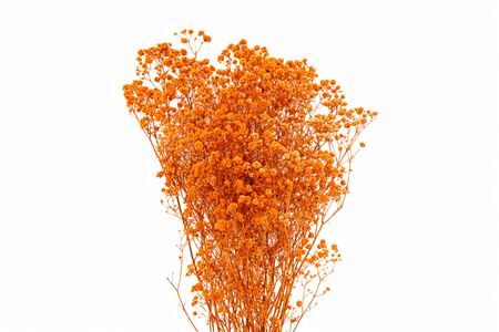 Pres Gyps Orange Bunch 100gr