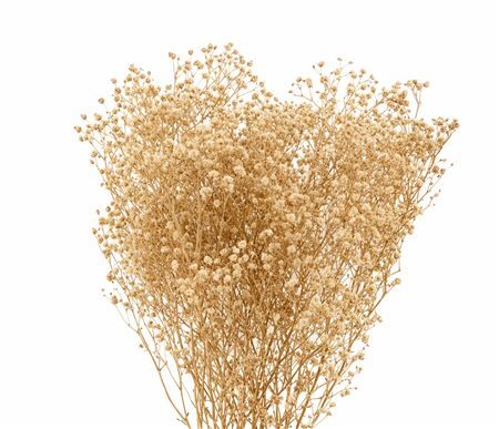 Pres Gyps Naturel Bunch 100gr