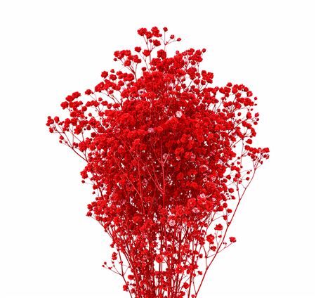 Pres Gyps Red Bunch 100gr