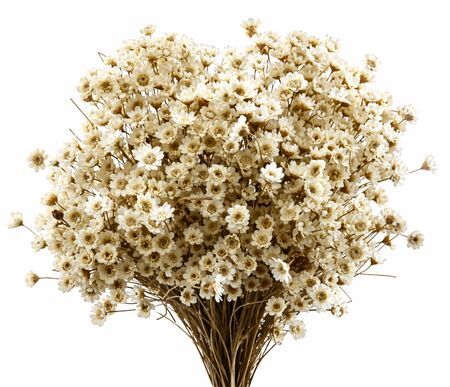 Dried Glixia Natural Bunch