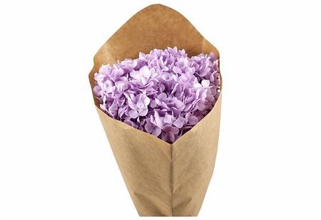 Pres Hydrangea Lilac Bunch