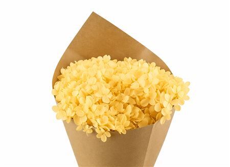 Pres Hydrangea Soft Yellow Bunch