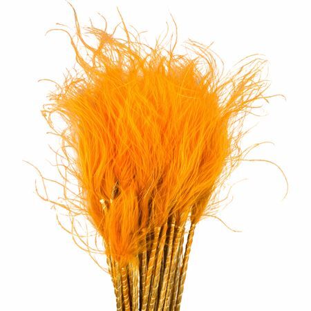 Dried Stypha Penata Orange(10 Toef) Bunch