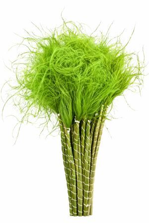 Dried Stypha Penata Applegreen(10 Toef) Bunch