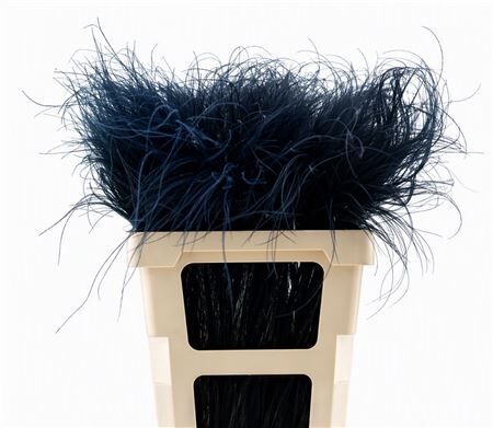 Dried Stypha Penata Black(10 Toef) Bunch