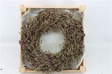 Wr Thym Naturel 40cm